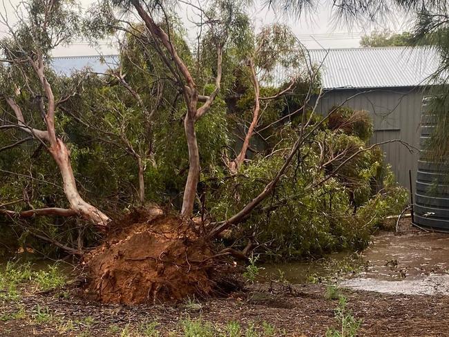 Storm damage in Wudinna  on the Eyre Peninsula.Picture; Shaine Dupree