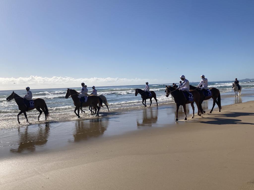 The Barrier Draw event showcasing an exhibition run of thoroughbreds down the Surfers Paradise beach, watched on by holiday makers and racing enthusiasts alike.