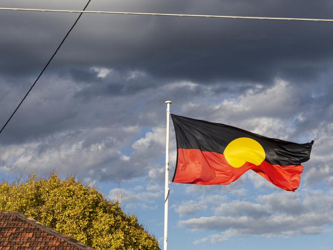 Aboriginal flag flying high above community centre in suburban neighbourhood.