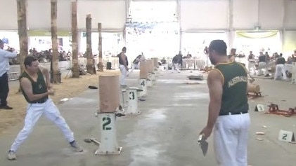 A big day of woodchopping at the Ekka. Photo: Supplied