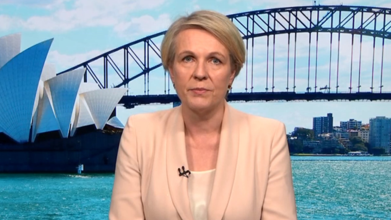 Tanya Plibersek claims the Greens is 'not a party of environmentalists anymore' as tensions over housing bills boil