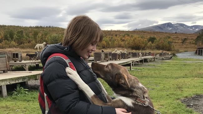 Meeting the sled dogs near Tromso. Picture: Penny Hunter