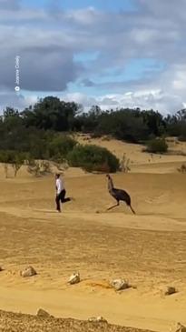 Emu Chases Tourist Trying to Take Its Photo