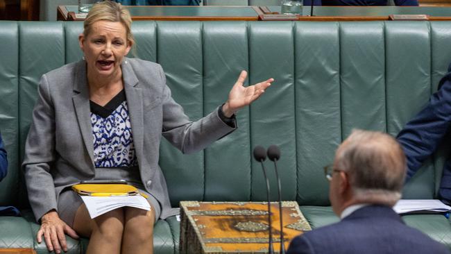Sussan Ley fired up against Prime Minister Anthony Albanese during Question Time in 2023. Picture: NewsWire/Gary Ramage