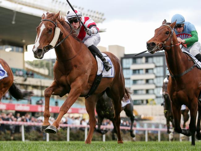 Pinstriped ridden by Ben Allen wins the Clamms Seafood Feehan Stakes at Moonee Valley Racecourse on September 09, 2023 in Moonee Ponds, Australia. (Photo by George Sal/Racing Photos via Getty Images)