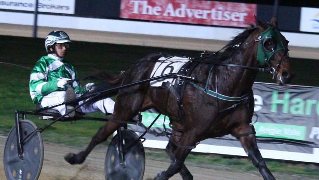 Sidney Van Den Brande pilots That’s Perfect at Globe Derby Park. Racing will Picture: Graham Fischer