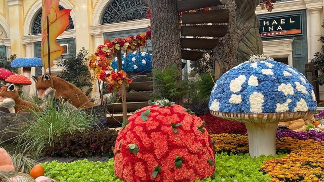 PHOTOS: Bellagio Conservatory unveils 'Year of the Rabbit' display on Las  Vegas Strip