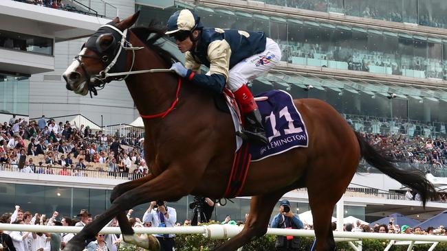 Soulcombe and Craig Williams join forces in Saturday’s Caulfield Cup.