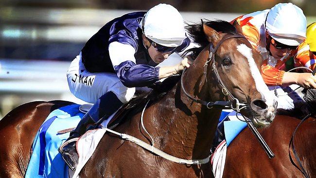 Races Caulfield Guineas Day