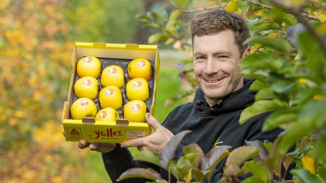 Grower Paul Priest with Yello apples at his Pakenham orchard. Picture: Zoe Phillips