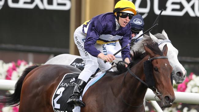 Talented stayer Aristia wins the VRC Oaks at Flemington. Picture: AAP