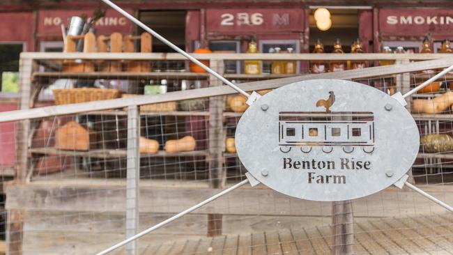 Benton Rise Farm is located close to the freeway, primary and secondary schools, Hastings town centre, beaches, horseriding trails and wineries.