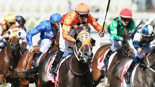 Victoria Derby winner Ace High is on a Melbourne Cup path. Picture: Getty Images