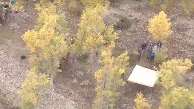 The scene in Wyoming where Gabby Petito was found. Picture: KSL5