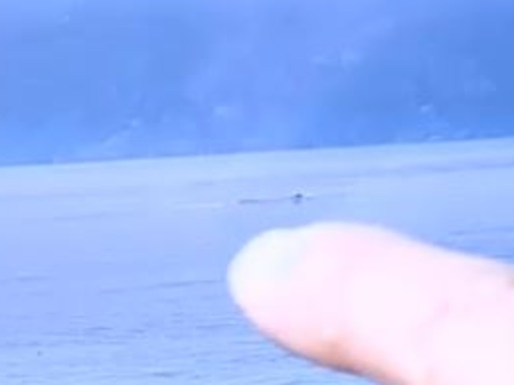 David Halbauer points out snake like creature rolls across the water’s surface in the video. Picture: Global News