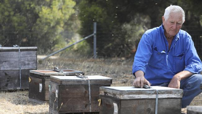 Peter Davis with some of the beehives he managed to save from the fires. Picture: Dean Martin