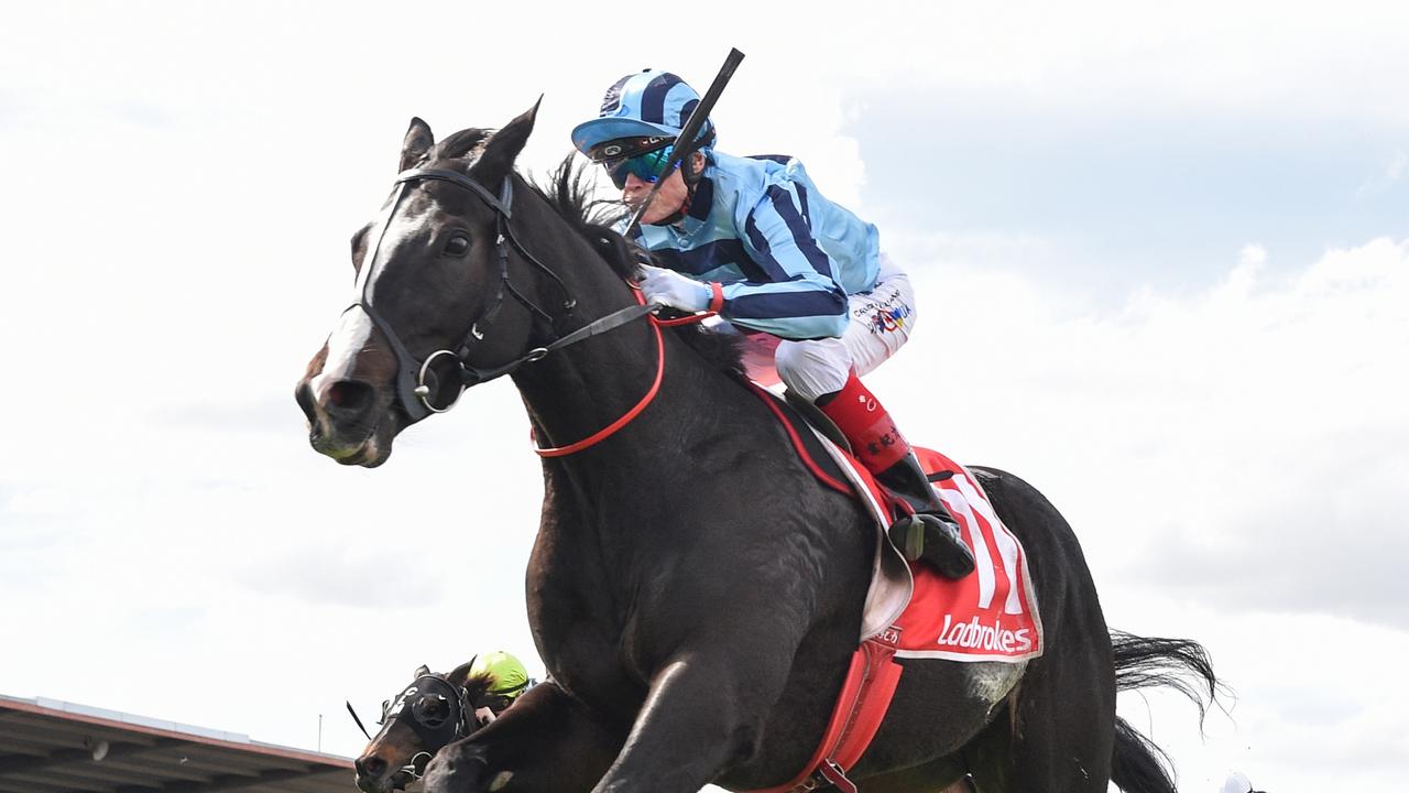 Craig Williams claimed his sixth Geelong Cup win with UK raider Onesmoothoperator. Picture: Pat Scala/Racing Photos via Getty Images