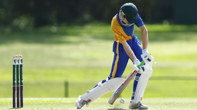 Ned Halligan batting. Picture: Michael Gorton