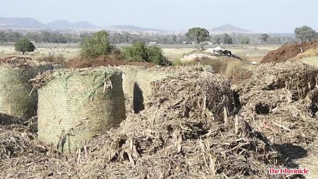 Drought-stricken farmers