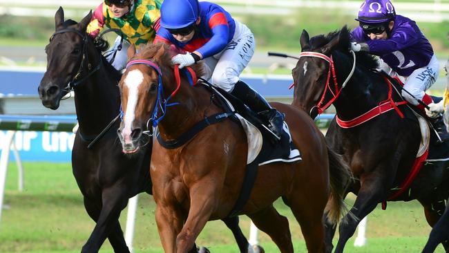 Single Gaze takes out the Tails Stakes at Doomben for trainer Noel Olive and jockey Kathy O'Hara. Picture: Grant Peters, Trackside Photography.