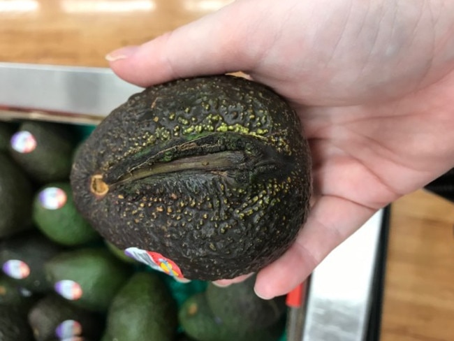 An Avocado That Looks Like A Vagina Found In Coles Casuarina Nt News