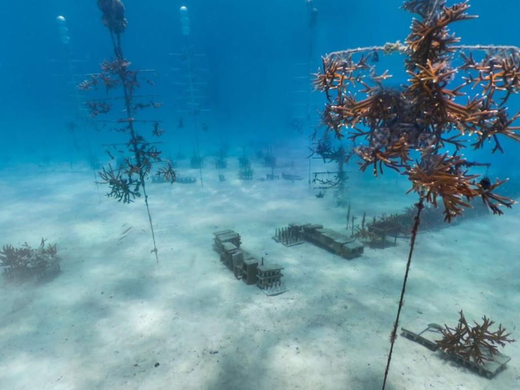 Items that looked like tables, chairs and antennas were discovered underwater. Picture: TikTok/secrets.on.google.earth