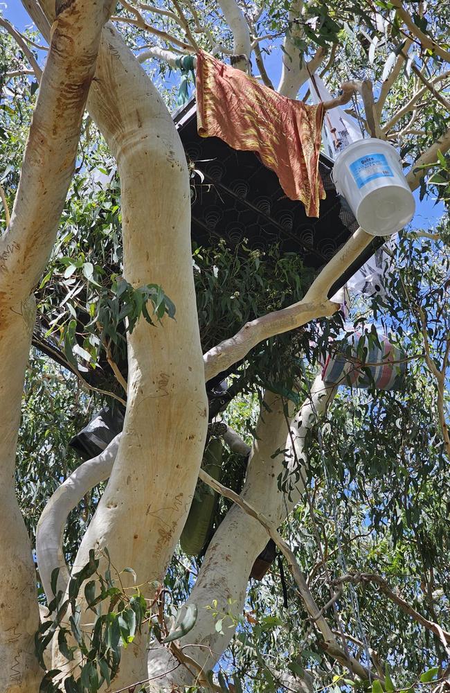 A photo of the Save Wallum camp. Pictures: Supplied.