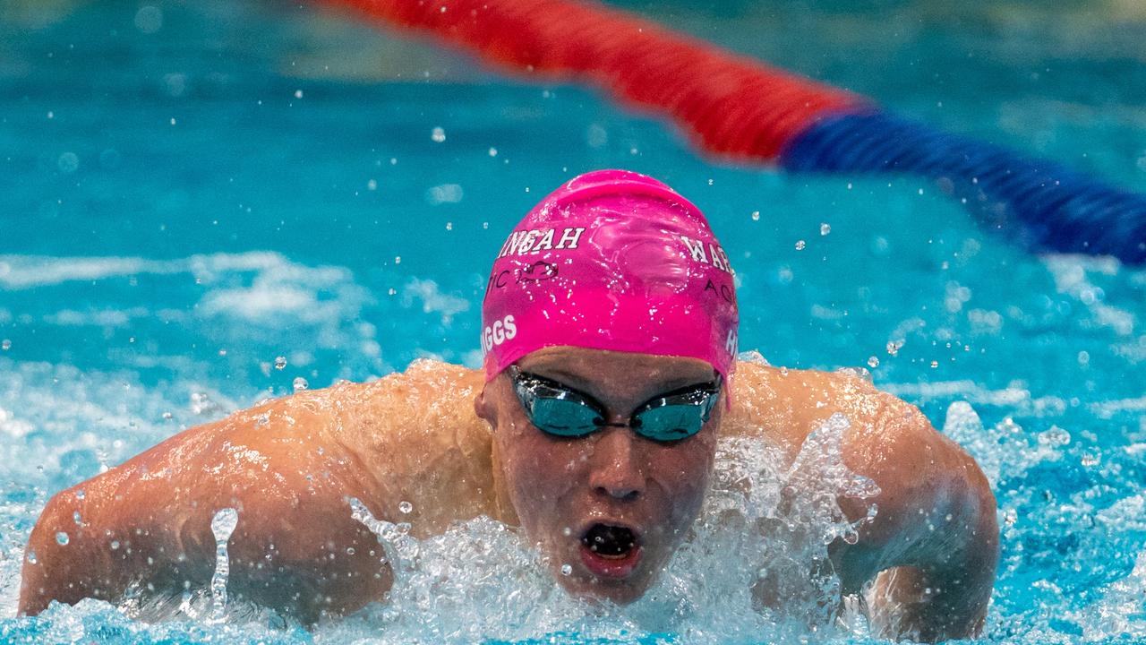 NSW Senior State Age Swim Champs Top 10 Sydney Athletes The Chronicle