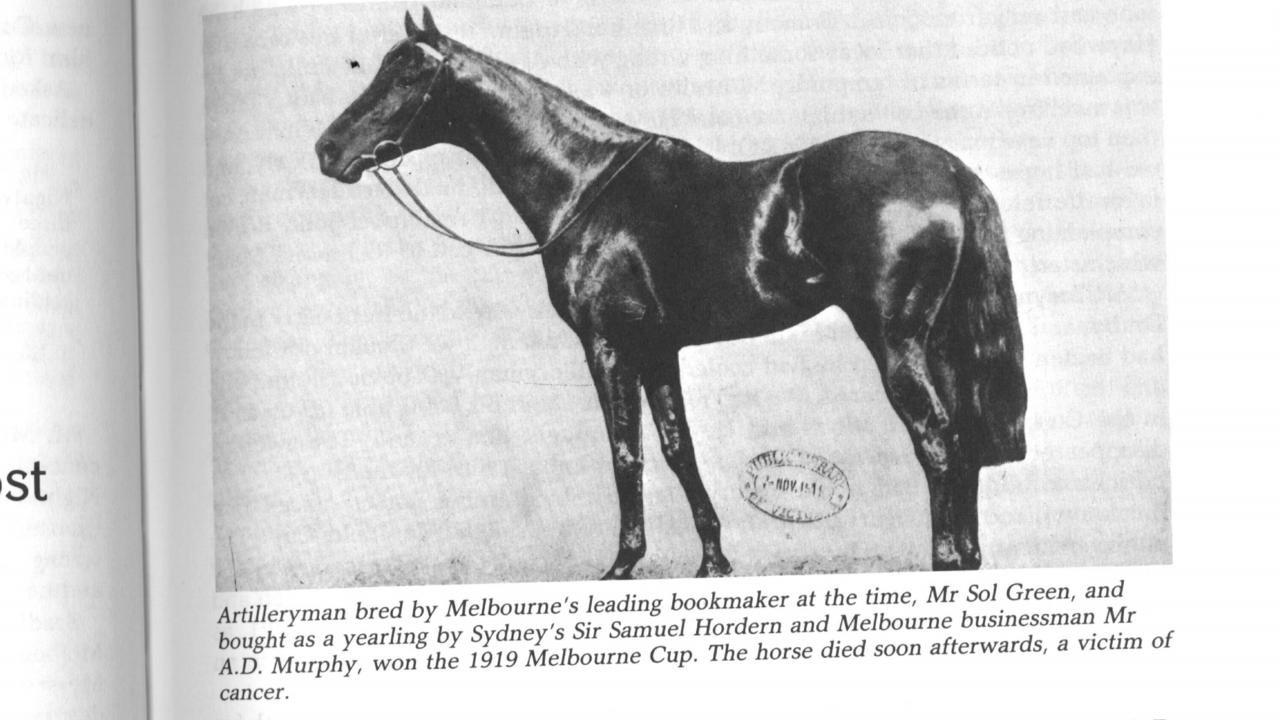 Racehorse Artilleryman, winner of the 1919 Melbourne Cup. Turf