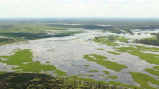 Kakadu floodplains - a haven for saltwater crocodiles