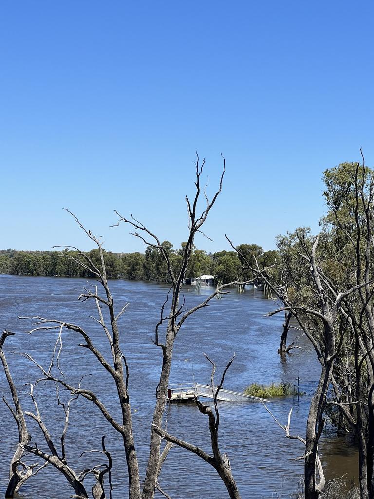 Blanchetown from the bridge. Picture: Jo Schulz