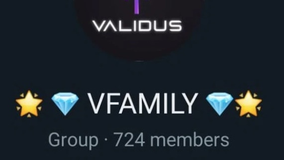 A WhatsApp chat of Validus members. Picture: Supplied