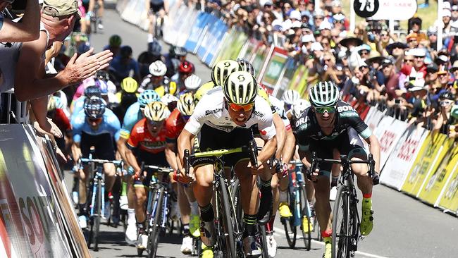 CYCLING - TOUR DOWN UNDER STAGE 2 - Unley to Stirling. Mitchelton-SCOTT Caleb Ewan wins the stage and takes the Ochre Jersey. Picture Sarah Reed