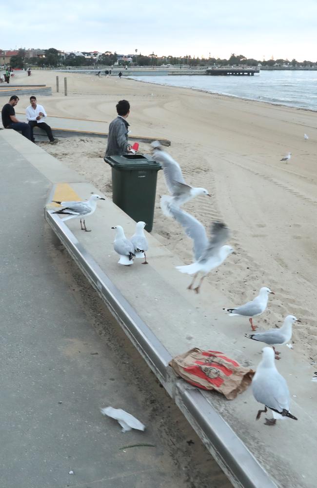 St Kilda beach on the first day of 2025. Wednesday, January 1, 2025. Picture: David Crosling