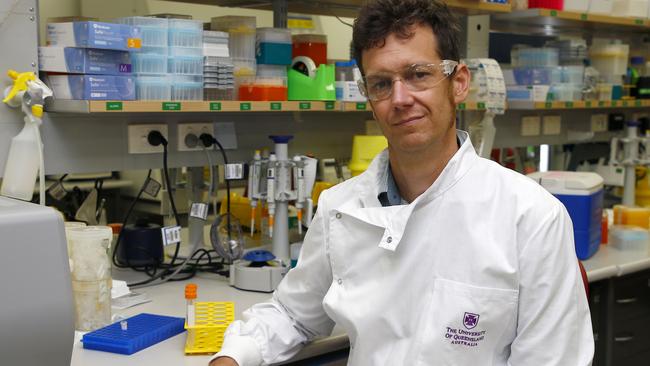 Keith Chappell is a member of the UQ molecular clamp science team, developing a vaccine platform for future pandemic agents. Picture: NCA NewsWire/Tertius Pickard