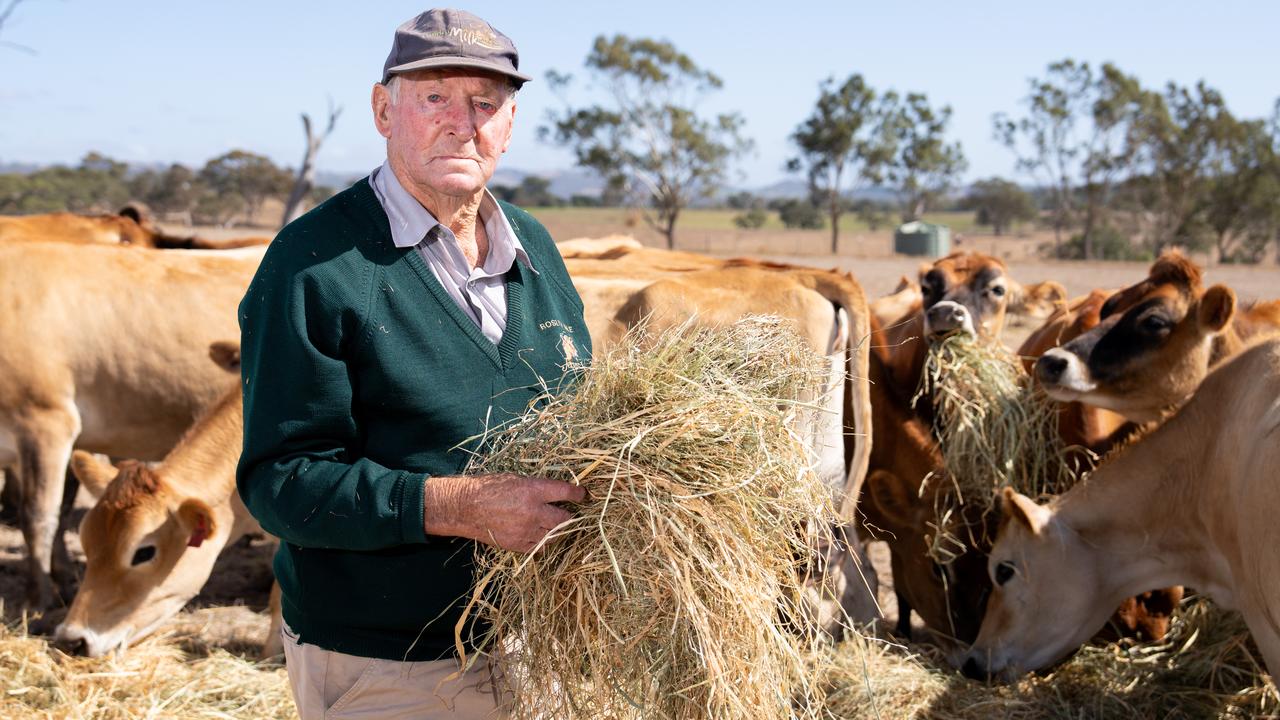 ‘Driest I’ve seen’: This drought the worst for 91-year-old dairy farmer