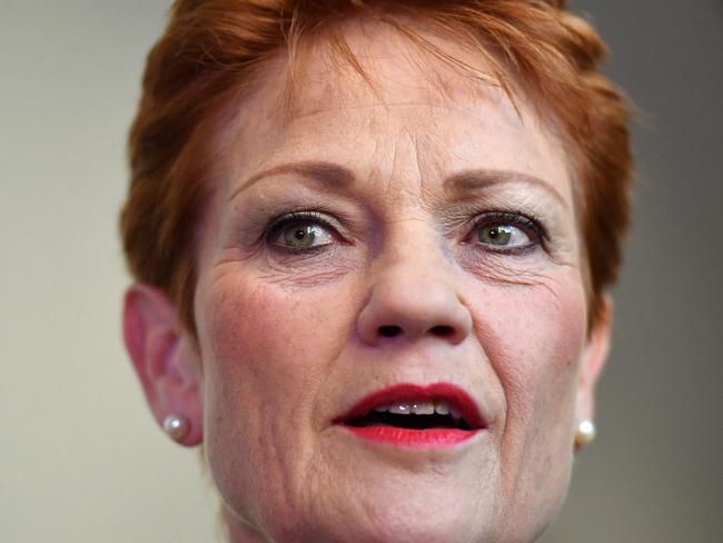 The belief is the One Nation vote is in double figures and could be as high as 20 in some areas. The party has ­become more “mainstream” and is gelling with white men aged over 50 in particular.