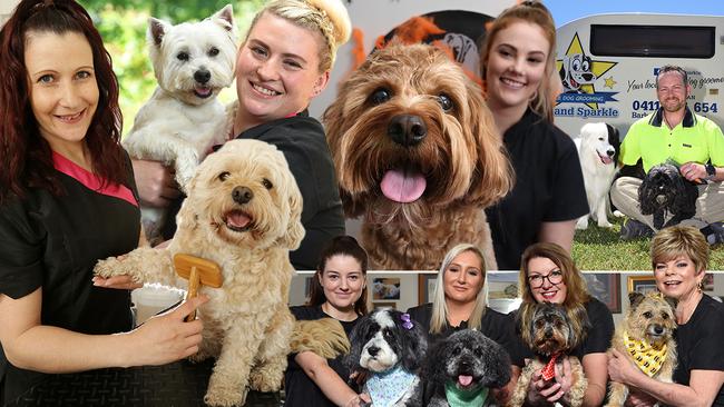 Some of Melbourne’s best dog groomers.