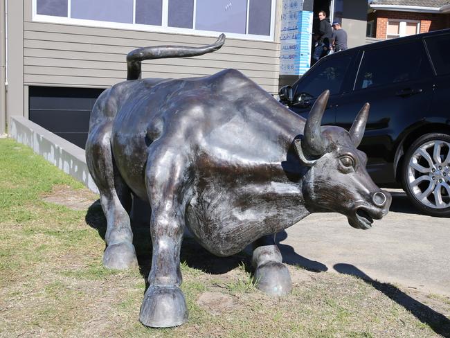 A bull outside Fadi Ibrahim’s home in Dover Heights. Picture: John Grainger