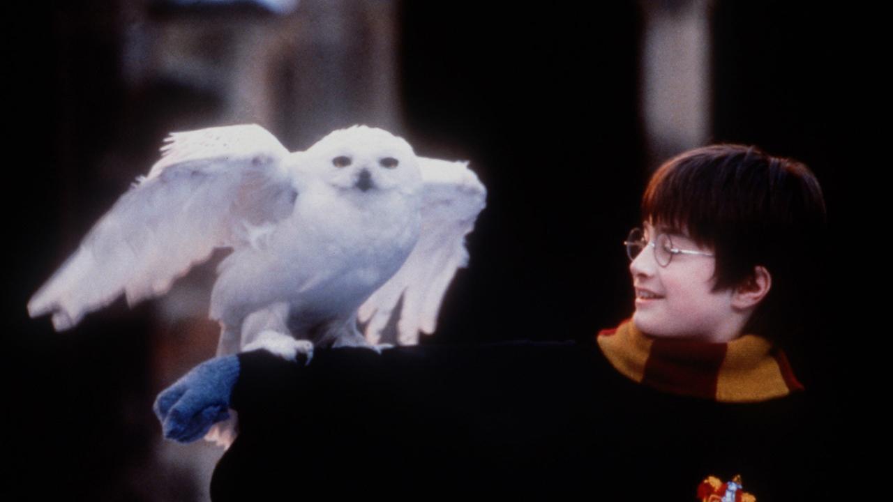 Daniel Radcliffe was only 10 when he won the role of Harry Potter. Picture: AP/Warner Brothers, Peter Mountain