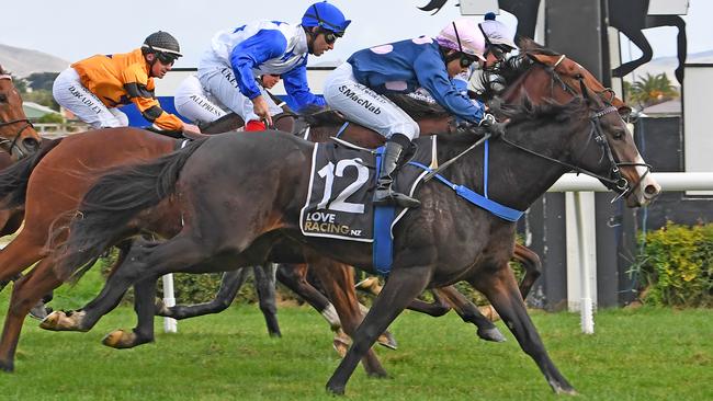 Former Kiwi And We Danced can make amends for her last start defeat. Picture: Peter Rubery (Race Images Palmerston North)