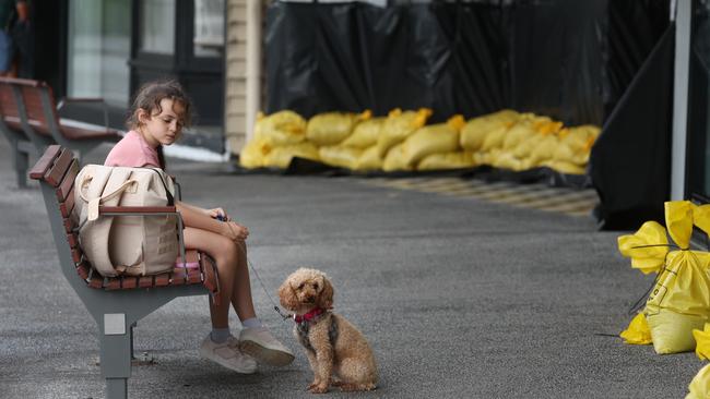 Honourine Pourbaix of Rosalie near the Brisbane River with her dog Rocket amid the sand bags. Picture: Annette Dew