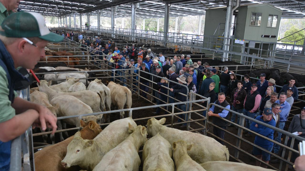 Livestock sales calendar Cattle dates The Weekly Times