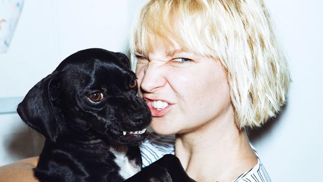 Our girl ... amazing singer and dog whisperer Sia Furler.