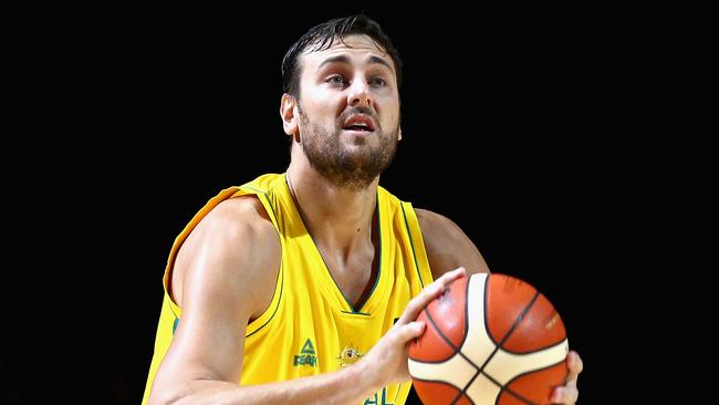 Andrew Bogut.