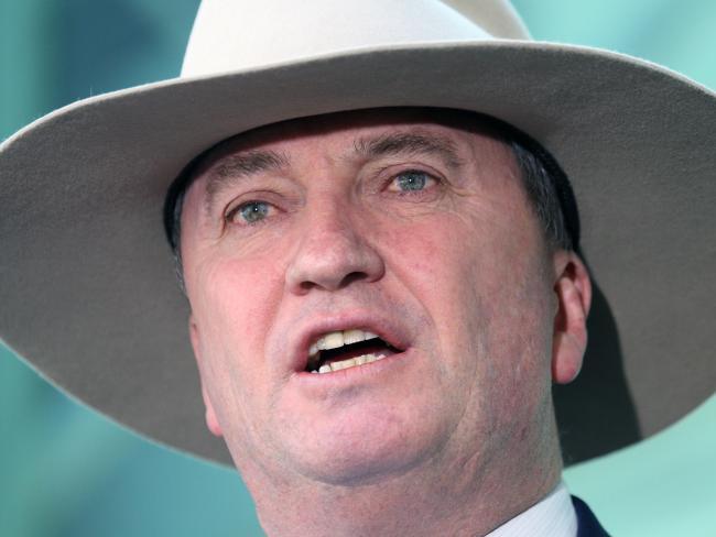 Deputy Prime Minister Barnaby Joyce during a press conference at Parliament House in Canberra. Picture Gary Ramage