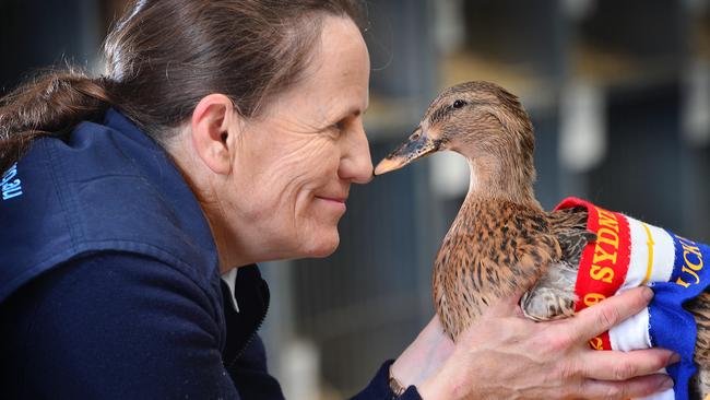 Special bond: Anne Beaty and one of her prized poultry. Picture: Nicki Connolly