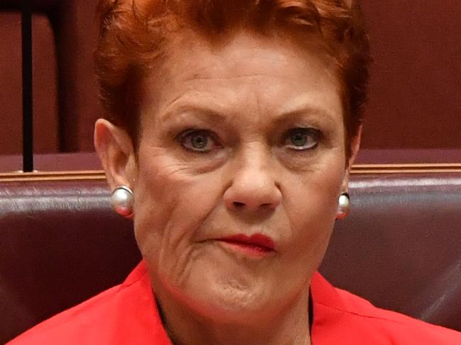 CANBERRA, AUSTRALIA - MARCH 18:  Senator Pauline Hanson during Senate business in the Senate at Parliament House on March 18, 2021 in Canberra, Australia.  (Photo by Sam Mooy/Getty Images)