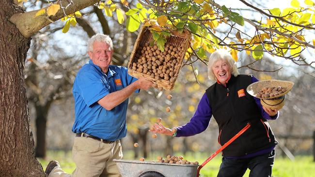 Carol Kunert and Micheal Burston have kept busy during lockdown. Picture: Alex Coppel