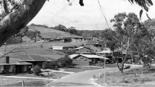 Three year old established housing estate at Flagstaff Hill, August 1982. Picture: Bryan Charlton